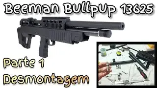 Beeman Bullpup 13625: Manutenção parte 1 - Abertura