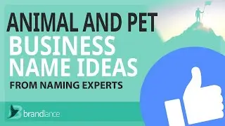 Best Animal and Pet Business Name Ideas Suggestions | Brand Names Generator
