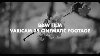 B&W FILM VARICAM 35 CINEMATIC FOOTAGE 2025
