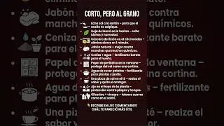 CORTO, PERO AL GRANO