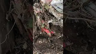 Moving the compost bins May 13, 2025