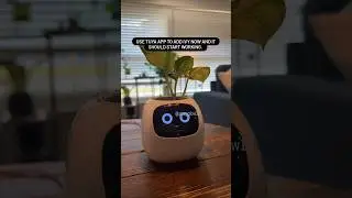 Reset Your Ivy Smart Planter | Link In Bio 🍃🍃🍃 #ivy