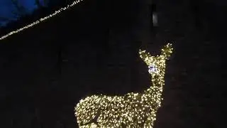 Cardiff Castle Christmas Lights 2019