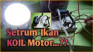 Membuat setrum ikan dengan koil motor/ Stun fish with a motor coil