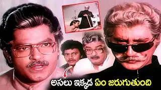 అసలు ఇక్కడ ఏం జరుగుతుంది Kaikala Satyanrayana And Sobhan Babu Comedy Videos | Latest Comedy Videos