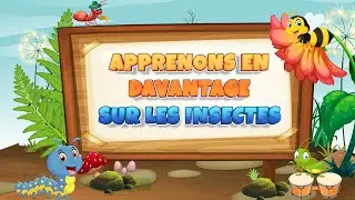 Apprendre les insectes pour les enfants | Aventure dans le monde des insectes pour les enfants