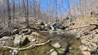 Is this the most beautiful trail in VA? Cedar Run Falls Trail | Shenandoah National Park