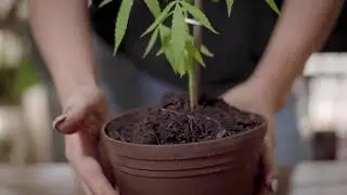 Epic B Roll Challenge Video