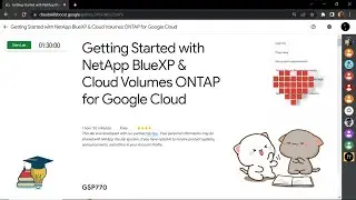 Начало работы с NetApp BlueXP и Cloud Volumes ONTAP для Google Cloud || [GSP770] || Решение