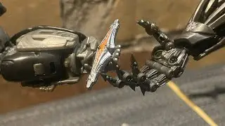 Nemesis primal origin