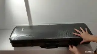 Gewa Pure Violin Case 2.4 GY 4/4