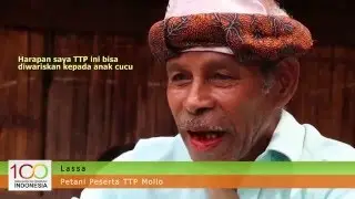Taman Teknologi Pertanian (TTP) Mollo NTT #Pembangunan