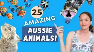 AMAZING AUSTRALIAN WILDLIFE LIST: Scary, Funny, Cute & Dangerous Native Australian Animals