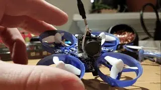 Custom Whoop