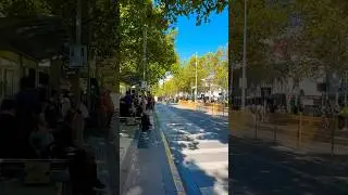 Hello Melbourne it&rsquo;s winter walk in July 2025 #walking #melbourne #australia #shorts