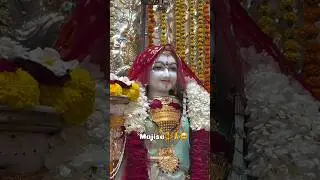 majisa status video #majisastatusvideo #jasol_majisa_whatsapp_status #jasol_bhatiyanisa #jasolmajisa