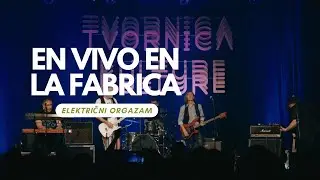 Električni orgazam - Krokodili dolaze (Live)