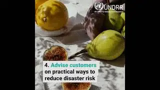 From protection to prevention: The role of cooperative and mutual insurance in DRR