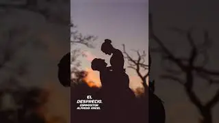 EL DESPRECIO
