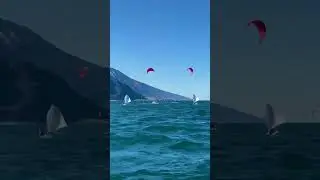 ⛵️ Garda Optimist regatta - Oracup / Trofeo Simone Lombardi 2023📍 Lago di Garda 🇮🇹