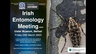 Irish Entomology Pre Meet 2 (2023) ~ Protecting and Connecting our Invertebrate Habitats