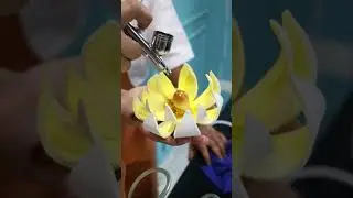 Stunning Sugar Display Techniques at CHO Bee Labs! ✨