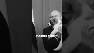 Meet The World Leaders #viral #memes #shorts #leaders #trend