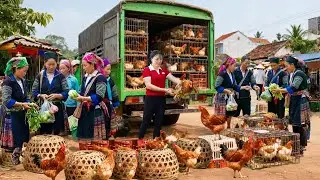 REWIND TIMELAPSE -- 288 Days Raising & Harvesting 200Kg Giant Chicken & Go to Market Sell