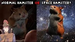 Is Boo A Real Space Hamster Or Just A Normal Hamster? [Baldur's Gate 3]