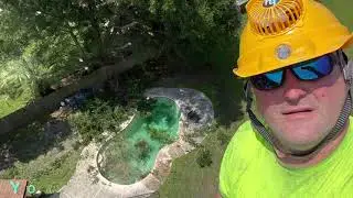 TRIMMING TREE OVER A POOL WITH A BUCKET TRUCK/ TREE LIFE 1 LLC. ROGER WALDMAN