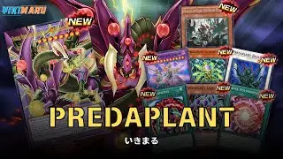 {EDOPRO} Fuse. Negate. Fuse Again | PREDAPLANT DECK | REPLAYS + DECKLIST | YU-GI-OH