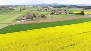 Ittigen