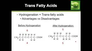 All About Trans Fats