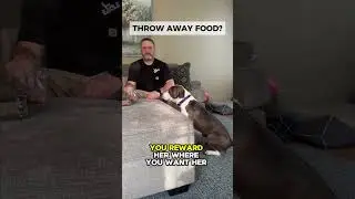 How To Get Off Couch | Dog Training