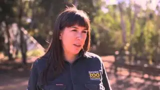 Science careers - Zookeeper