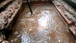 This is why we LOVE DRAINS!