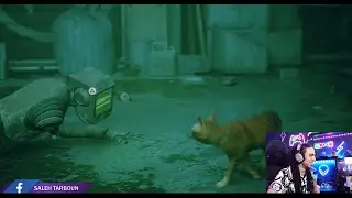 تربون لعبة القط STRAY