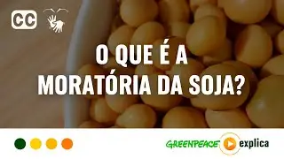 O que &eacute; a Morat&oacute;ria da Soja? - Greenpeace Explica