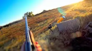 First time dove hunting!