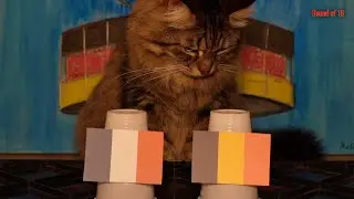 France Vs Belgium - Cats Euro 2024 Prediction