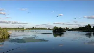 Озеро Киово в Лобне. Велопрогулка из Шереметьево.