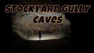 Stockyard Gully Caves. Beekeepers Nature Reserve.