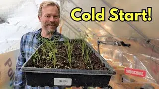 Starting Spring Vegetables in In Greenhouse Live Stream Q&A