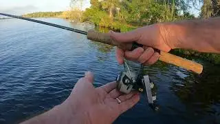 Zebco Cardinal 3 vintage spinning reel