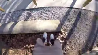 BEST OF VIDEO OF GRAVITYFAMILY
