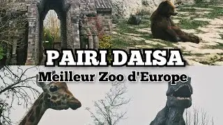 🦖Visite du plus grand parc Zoologique d'Europe 🫎 Pairi Daiza🌿