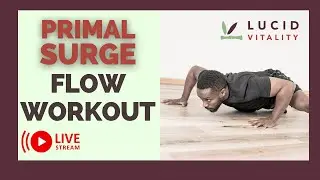 Primal Surge | LIVE Intro Workout 01