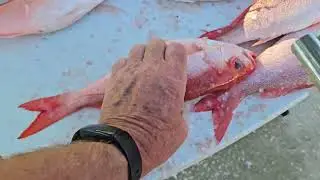 The Temu Fish Descaler