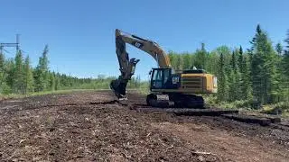 Cleaning up a swamp