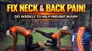 Fix Neck & Back Pain | Cat Cow & Bird Dog Exercises | Weekly Injury Prevention